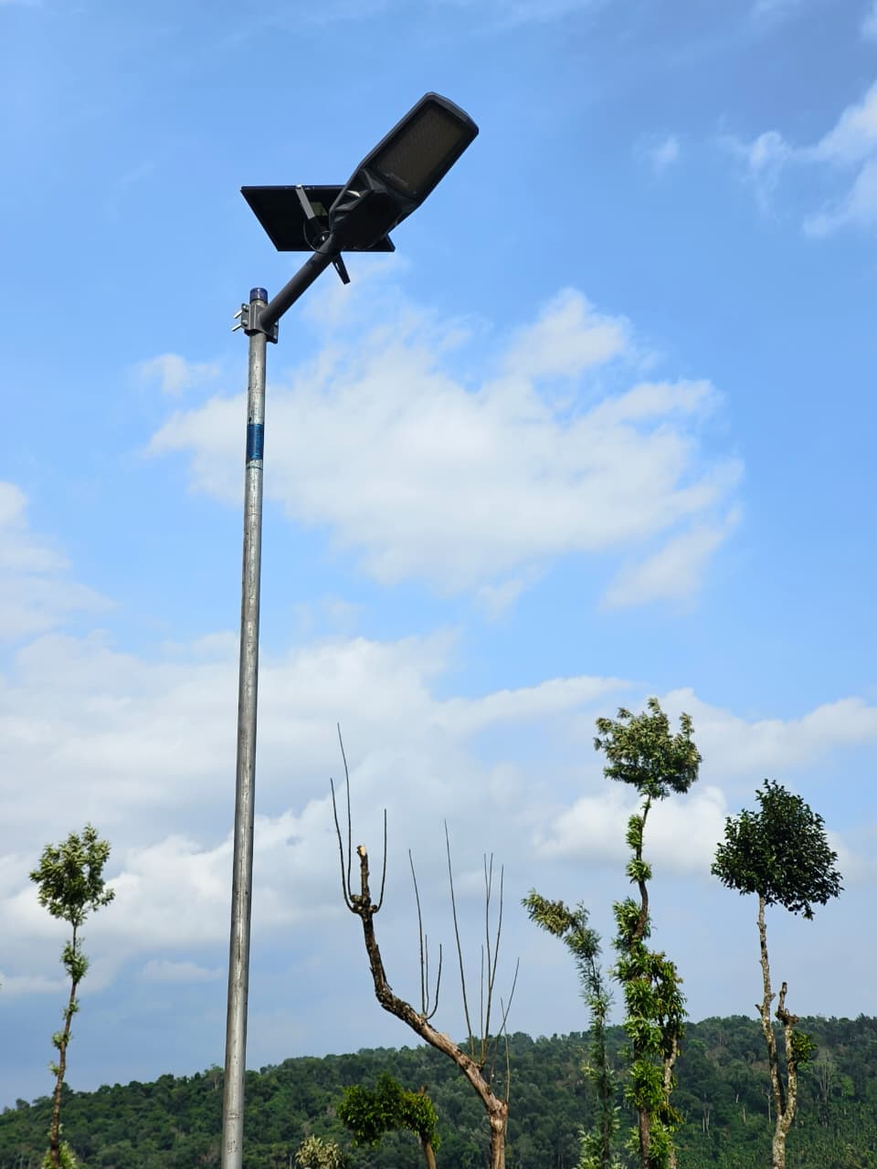 Tapetum 40 Watt Bat — real installation photo